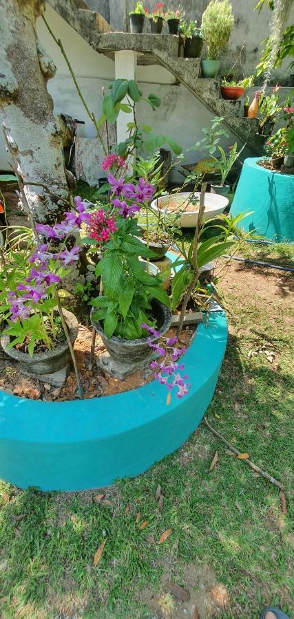 בנטוטה Jilan Homestay מראה חיצוני תמונה